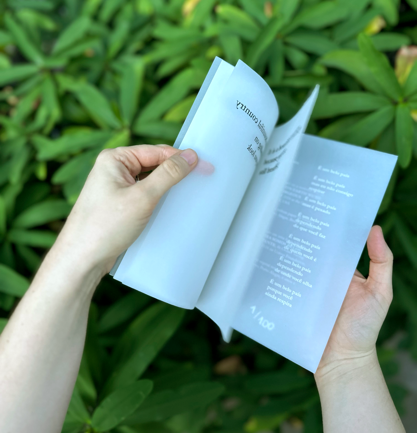 It's a beautiful country - Amanda Teixeira