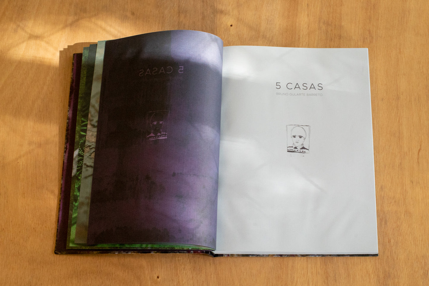 5 casas - Bruno Gularte Barreto