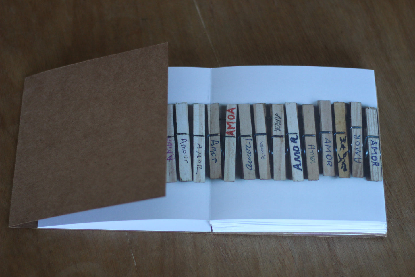 amor:amor - Elida Tessler