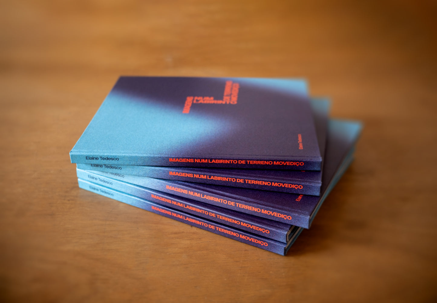 Imagens num labirinto de terreno movediço - Elaine Tedesco