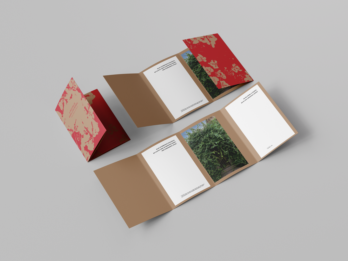 A Procura de María Luisa Bombal - Mariana Ribeiro de Oliveira