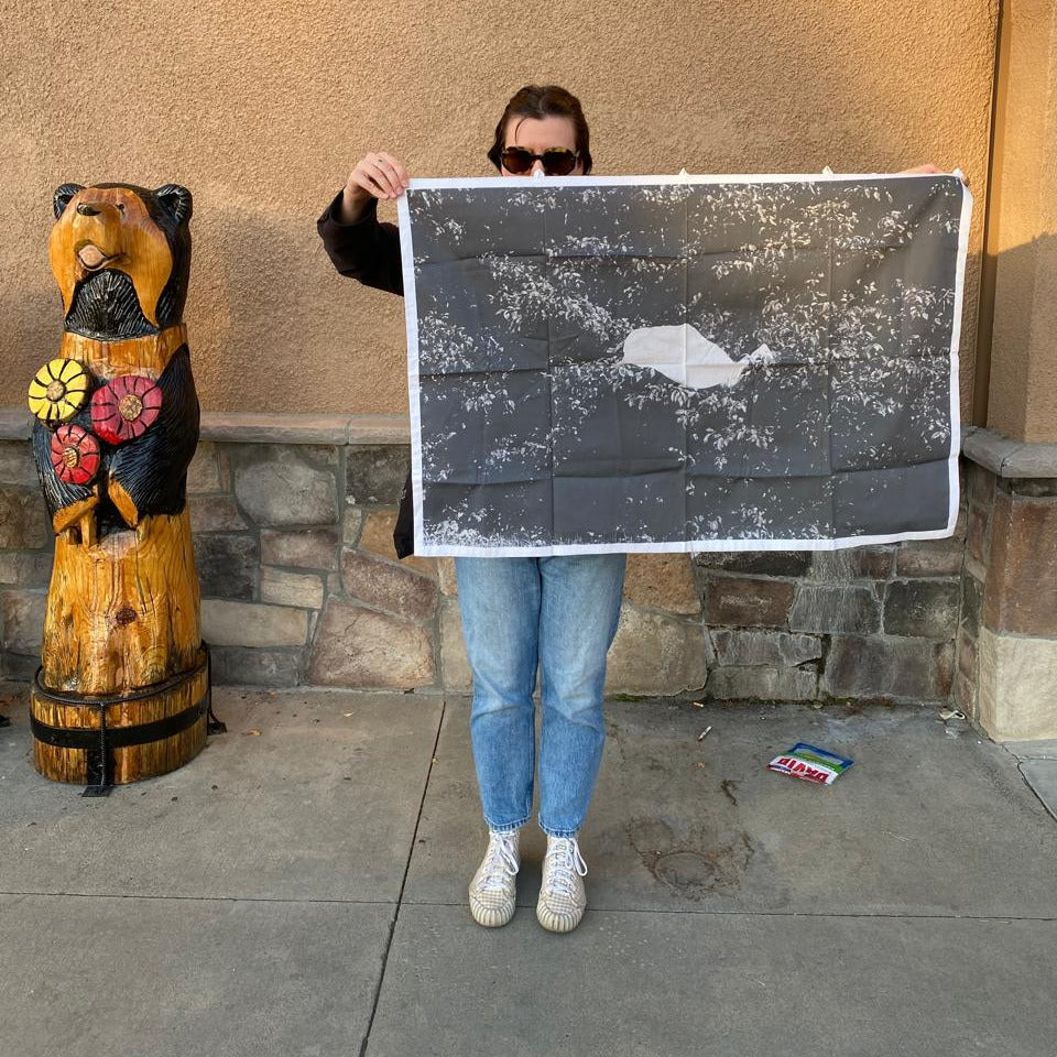 Bandeira - Amanda Teixeira