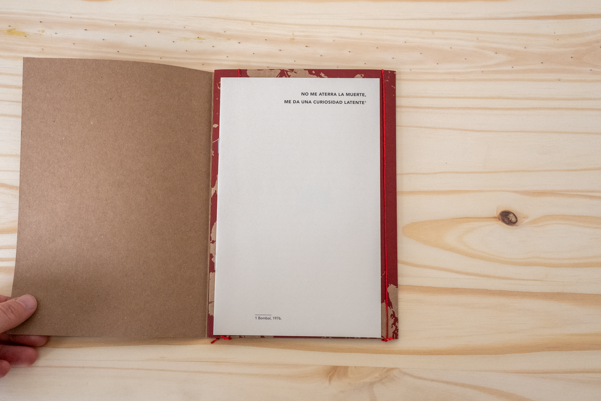 A Procura de María Luisa Bombal - Mariana Ribeiro de Oliveira [In Search of María Luisa Bombal]