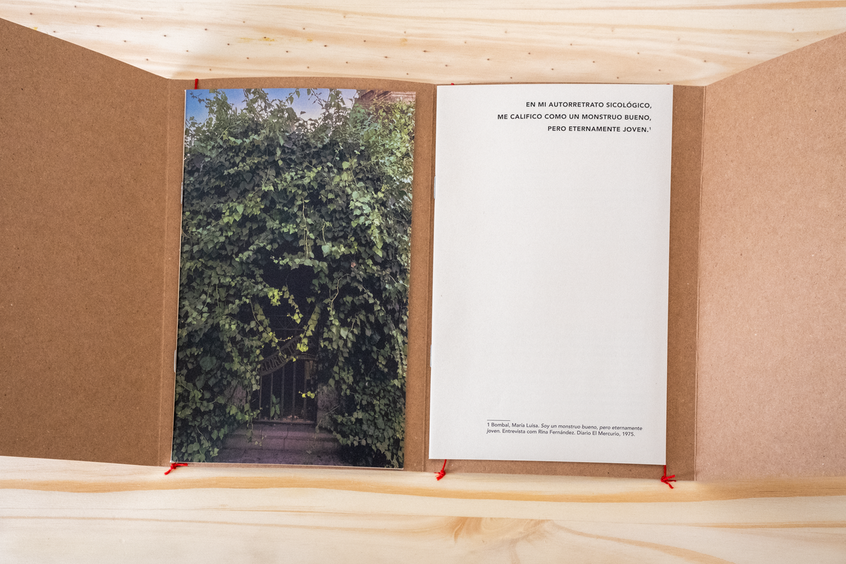 A Procura de María Luisa Bombal - Mariana Ribeiro de Oliveira [In Search of María Luisa Bombal]
