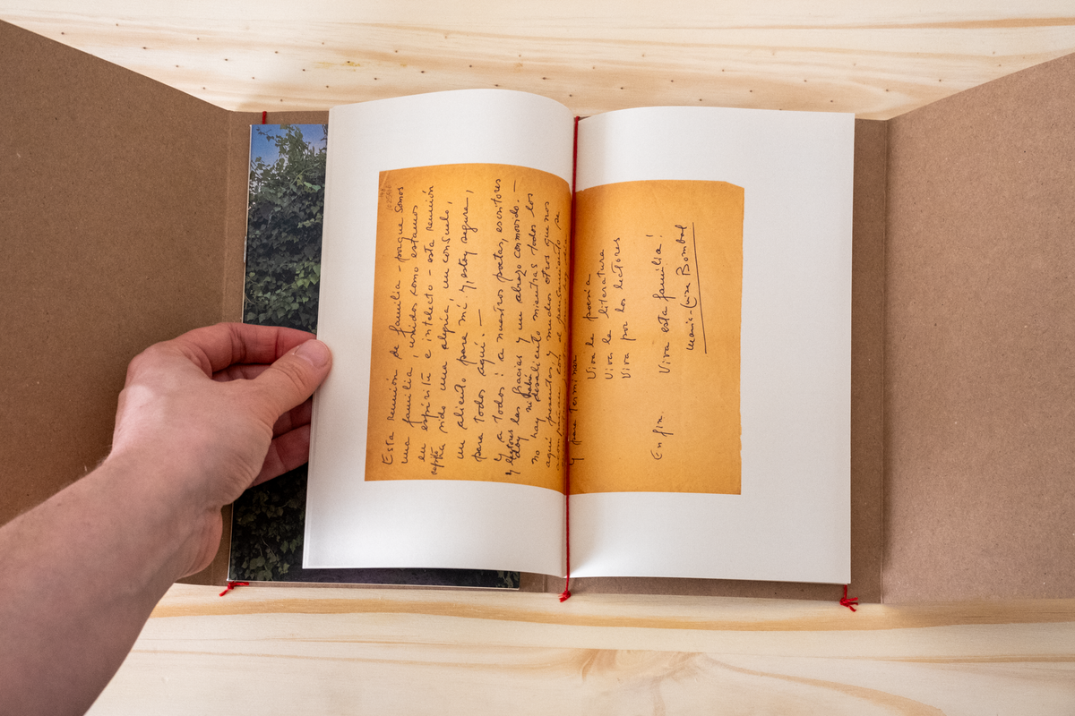 A Procura de María Luisa Bombal - Mariana Ribeiro de Oliveira [In Search of María Luisa Bombal]
