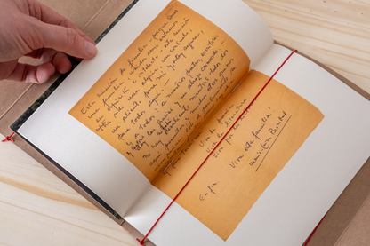 A Procura de María Luisa Bombal - Mariana Ribeiro de Oliveira [In Search of María Luisa Bombal]