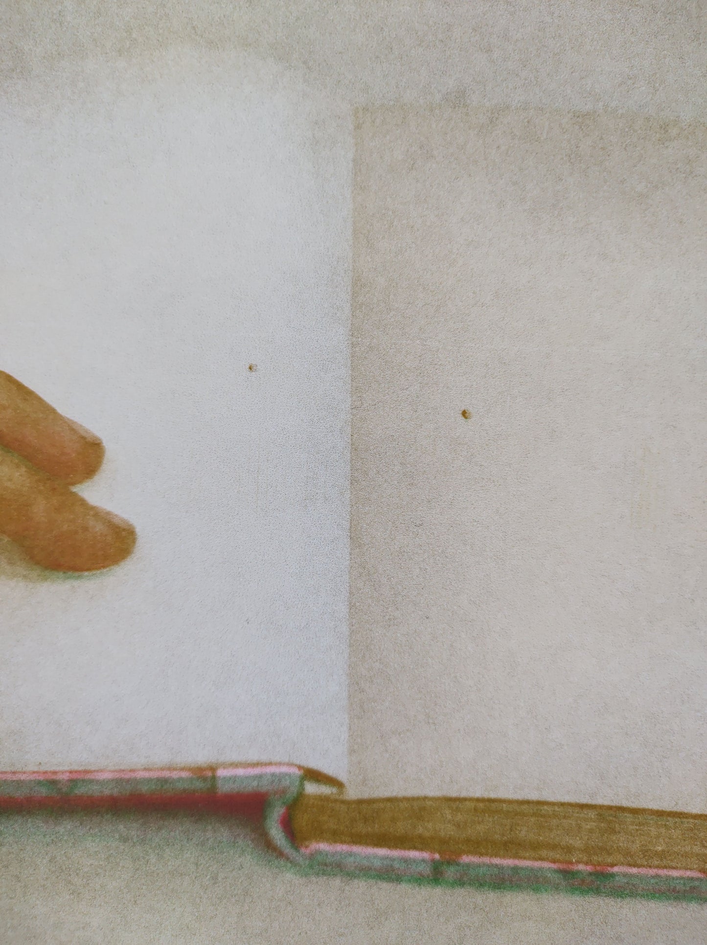 Manual de Instruções - Amanda Teixeira