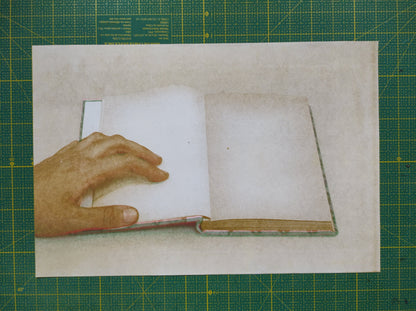 Manual de Instruções - Amanda Teixeira